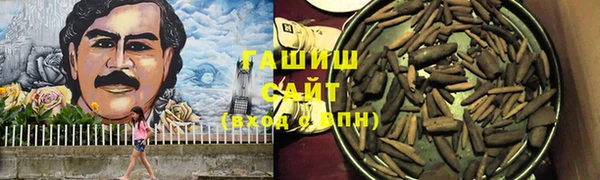 apvp Алзамай