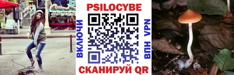 магазин Балашов Галлюциногенные грибы GOLDEN TEACHER