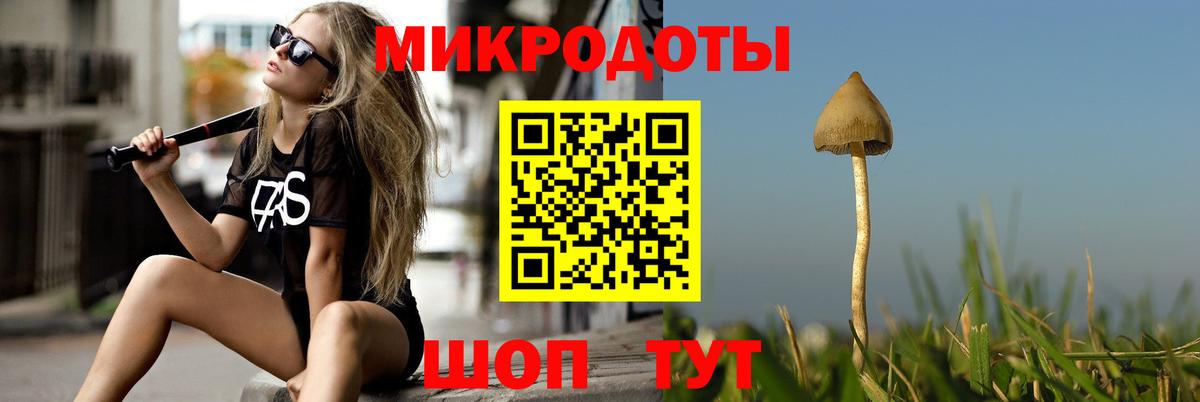 Балашов  Галлюциногенные грибы Psilocybe  Галлюциногенные грибы MAGIC MUSHROOMS  Вход с VPN 